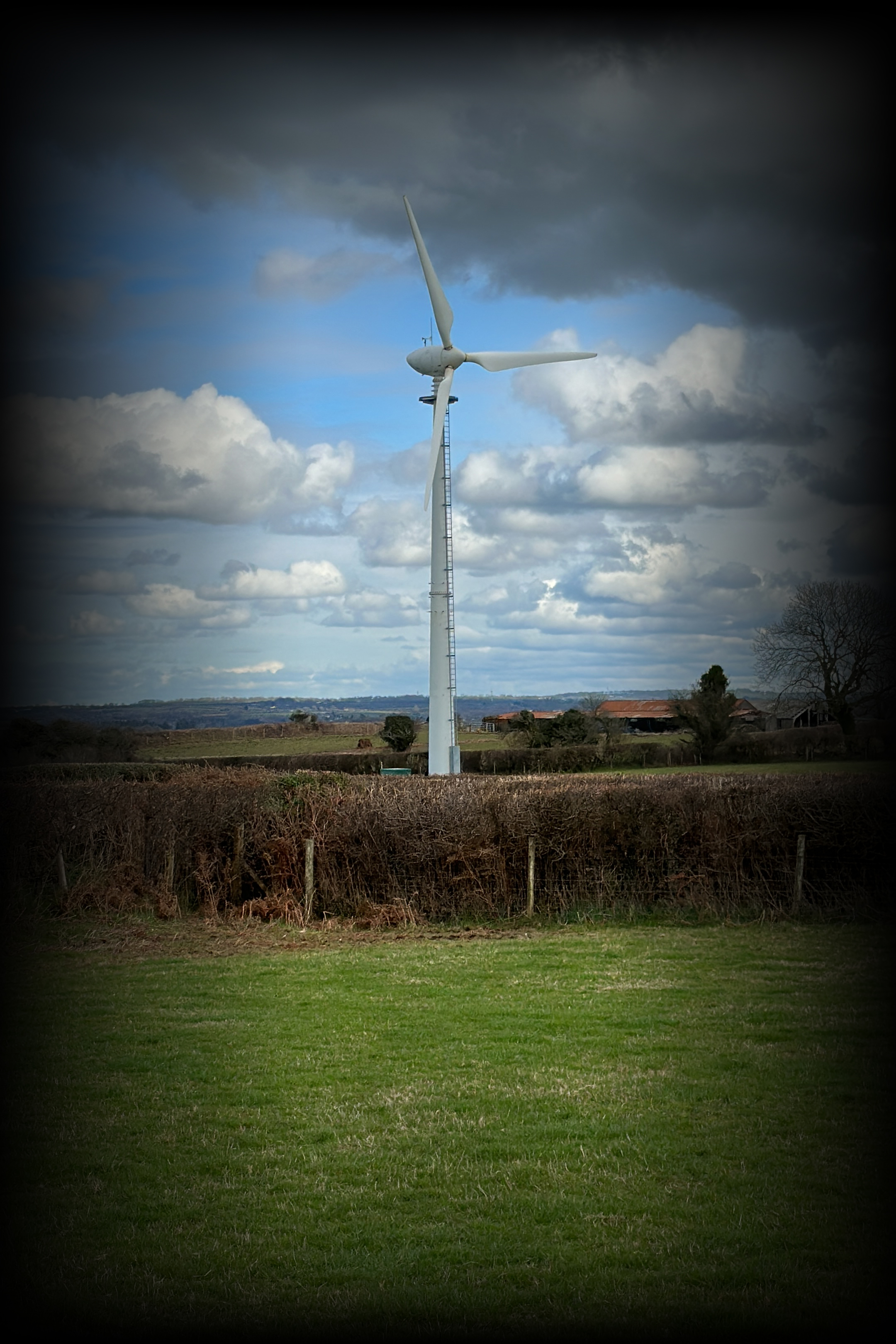 5th Flock Wind Turbine